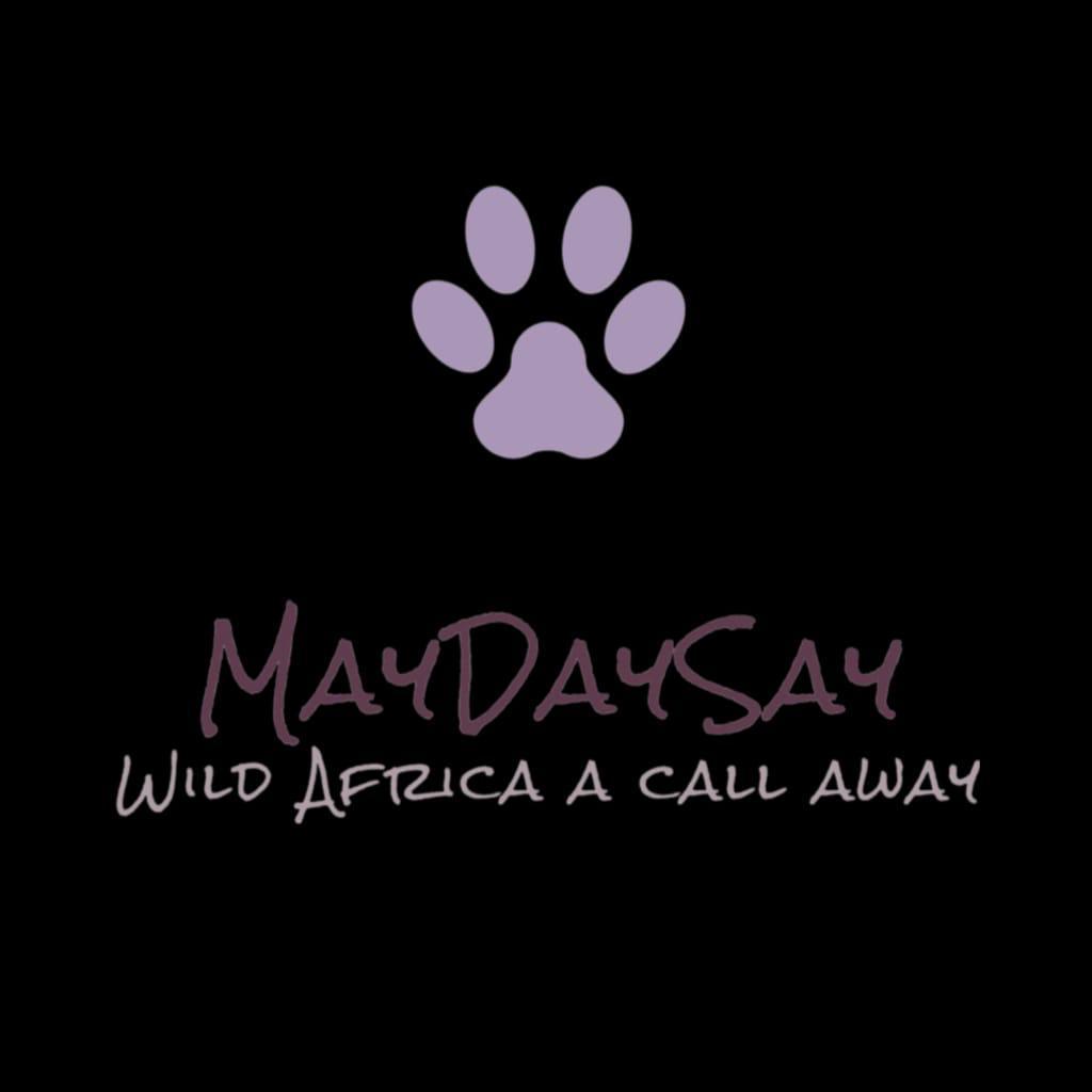 Maydaysay Tours And Travel Ltd
